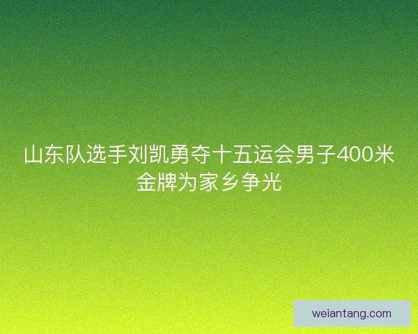 山东队选手刘凯勇夺十五运会男子400米金牌为家乡争光