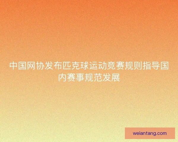 中国网协发布匹克球运动竞赛规则指导国内赛事规范发展