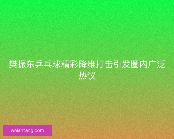 樊振东乒乓球精彩降维打击引发圈内广泛热议